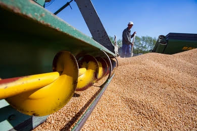 Screw Conveyor Application